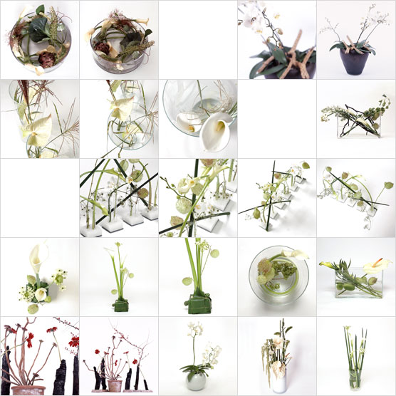 [galerie sw - fotos]