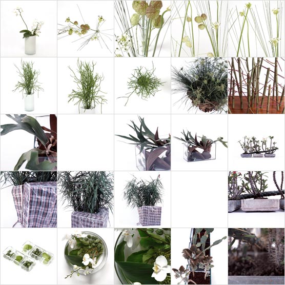 [galerie gruen - fotos]