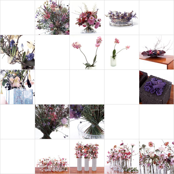 [galerie violett - fotos]