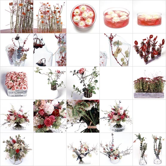 [galerie rot - fotos]