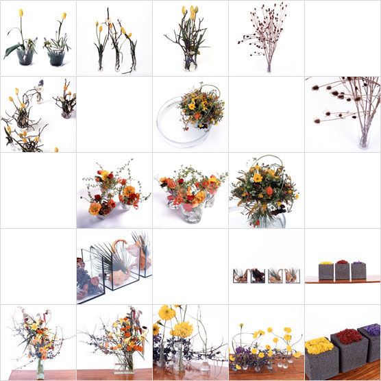 [galerie gelb - fotos]