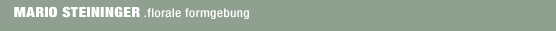 [logo mario steininger, florale formgebung] zu start seite